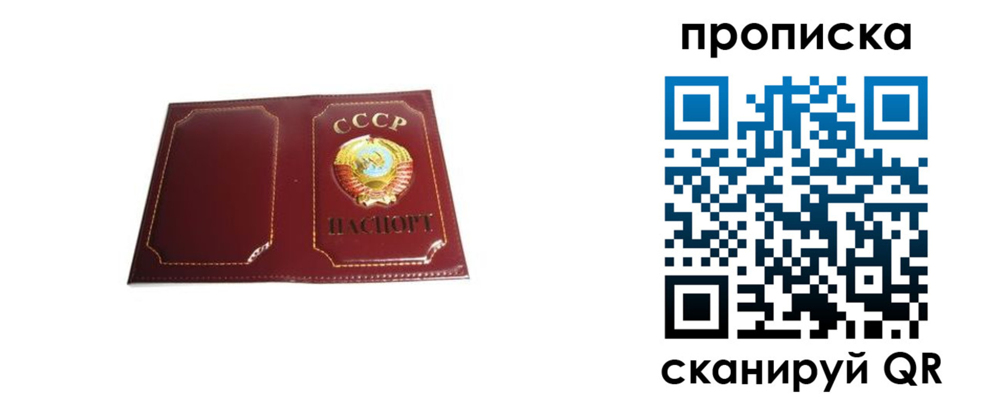 прописка гарантия в Сельцо